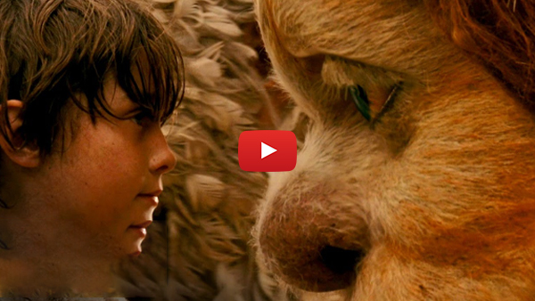 Movies Like Jumanji: 20 Attractive Adventures to See Where the Wild Things Are (2009)