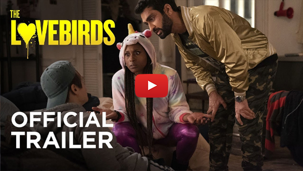 Movies Like When Harry Met Sally: Best Romantic Comedy Look The Lovebirds (2020)