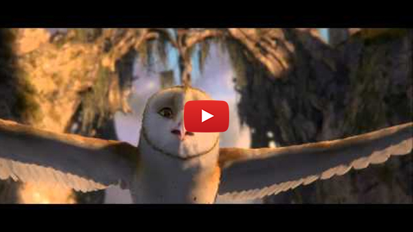 Legend of the Guardians The Owls of Ga'Hoole (2010)