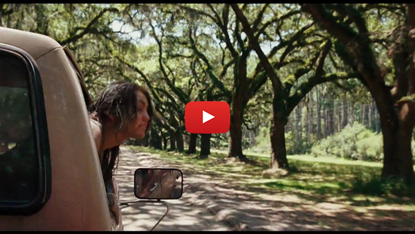 Movies like The Notebook: Romantic Films Will Let You Feel The Last Song (2010)