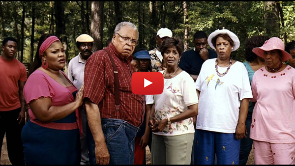 Welcome Home Roscoe Jenkins (2008)