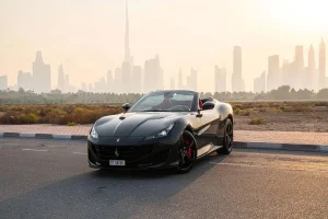Dubai Exotic