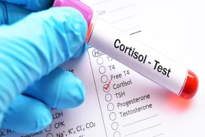 Cortisol in Our Body