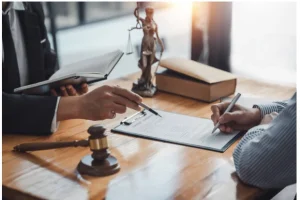 Criminal Lawyer