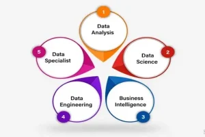 Data Career
