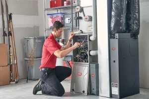 Warranties Influence