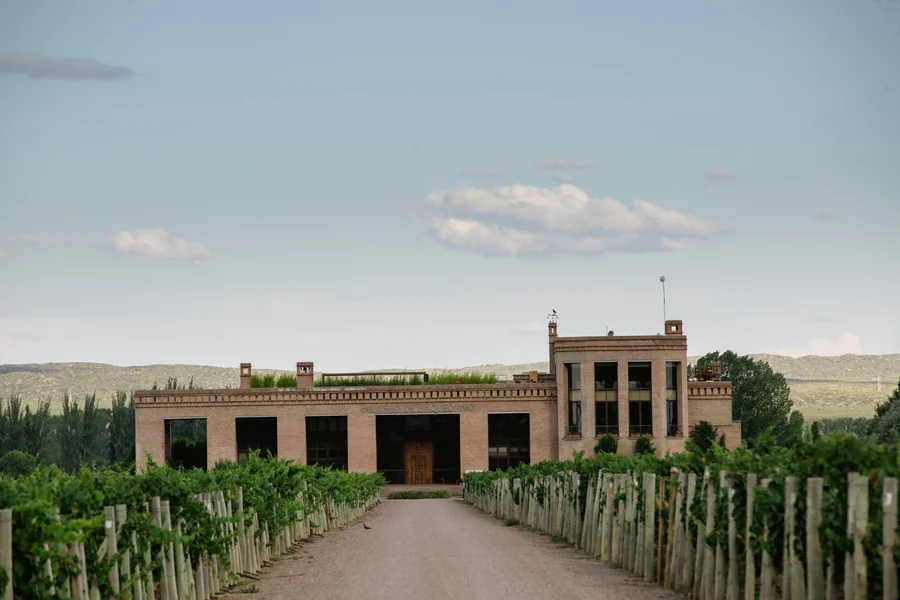 Sculpting the Vineyard Where Wine and Architecture Unite