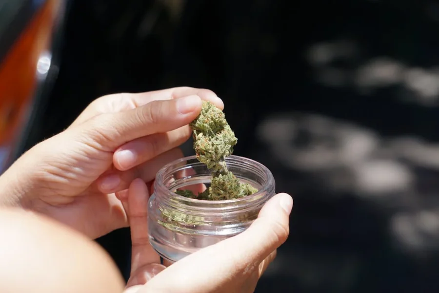 Trainwreck Cannabis Flower: Aroma, Potency, and Medical Uses Trainwreck Cannabis