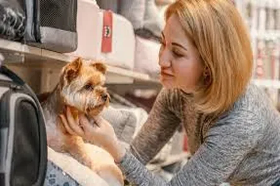 Clean Dog Boarding Facility