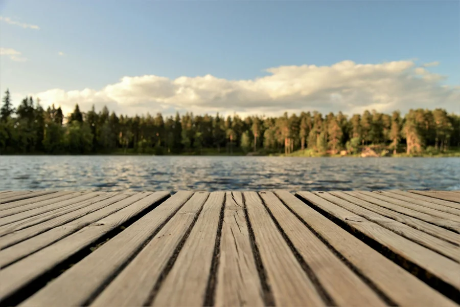 Visit Sweden Next Year