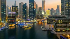Dubai Marina Developments: Modern Urban Living by the Water