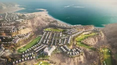 Whitewill Real Estate: A Strategic Partner for Confident Property Decisions