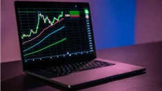 How Better Market Data Can Help Local Investors Make Smarter Financial Decisions 