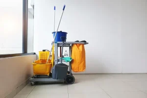 Cleaning Service