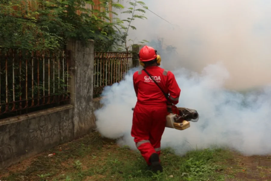 What Are The Benefits Of Hiring Experienced Local Exterminators? local exterminators