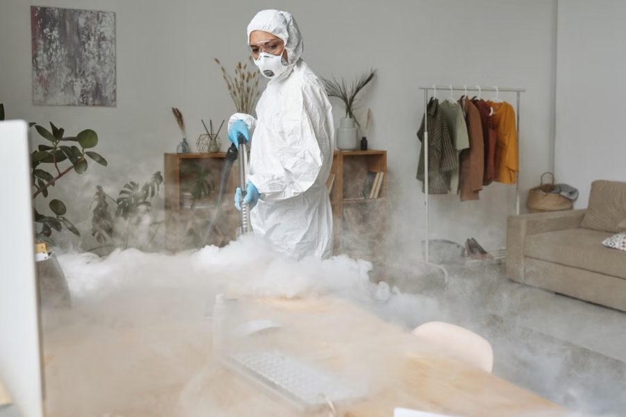 5 Essential Questions To Ask Your Exterminator featured 9715