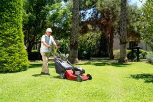 Local Lawn