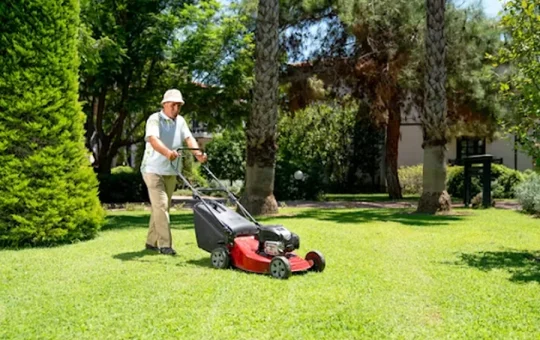 Local Lawn