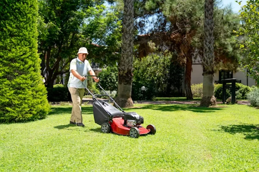 Local Lawn