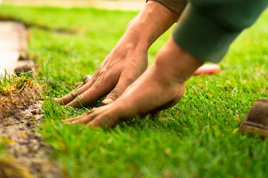 Tips For Selecting the Right Local Lawn Care Services Local Lawn