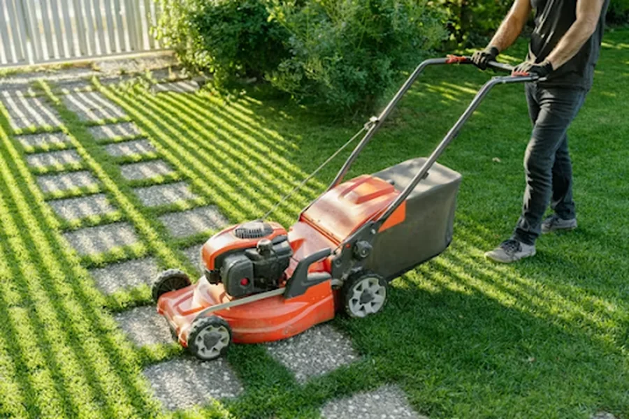 Tips For Selecting the Right Local Lawn Care Services Local Lawn