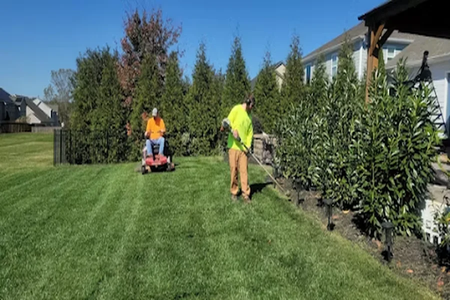 Tips For Selecting the Right Local Lawn Care Services Local Lawn